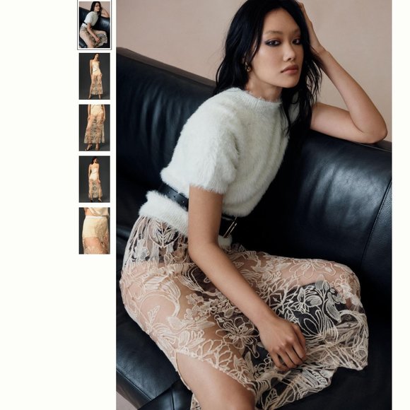 By Anthropologie Sheer Embroidered Skirt - Picture 5 of 5